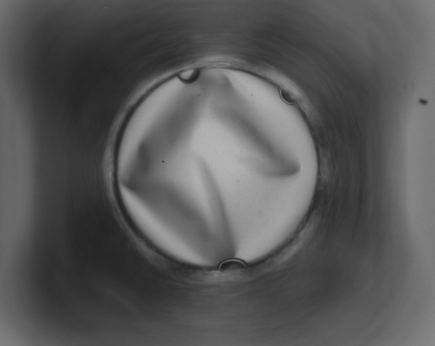 X0000100911430200807151129