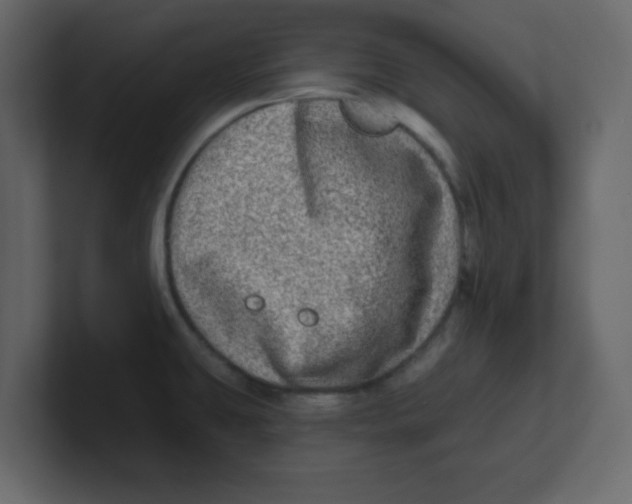 X0000100911431200807151129