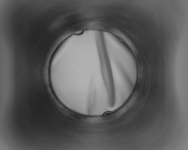 X0000100911434200807151129