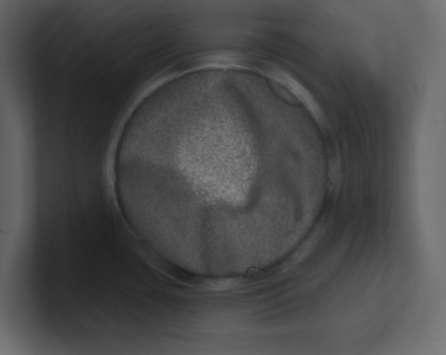 X0000100911435200807151129