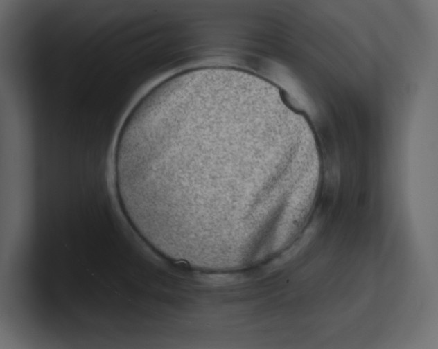 X0000100911436200807151129