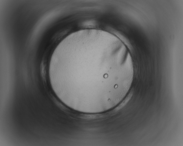 X0000100911438200807151129