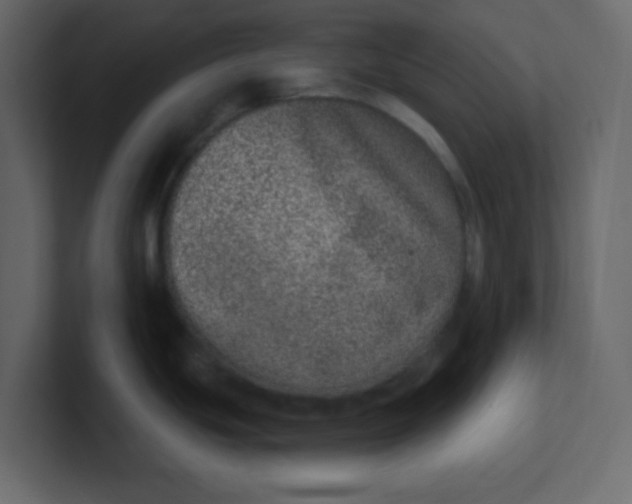 X0000100911439200807151129