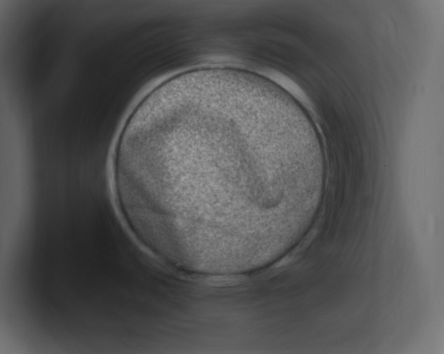 X0000100911440200807151129