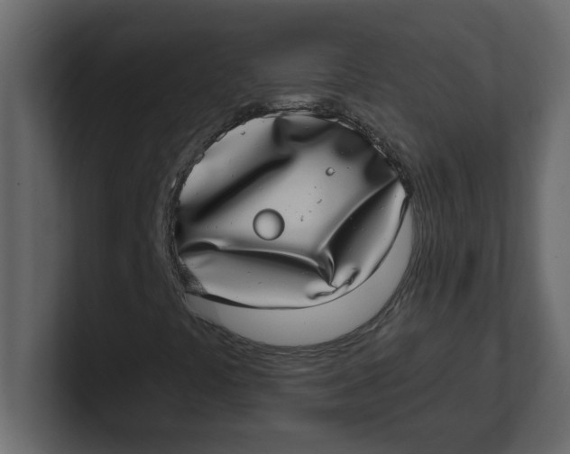 X0000100911441200807151129