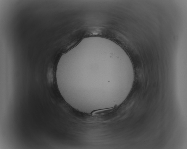 X0000100911442200807151129