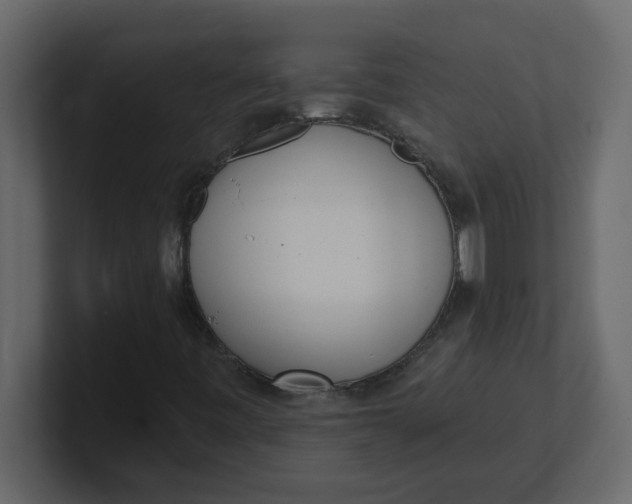 X0000100911443200807151129