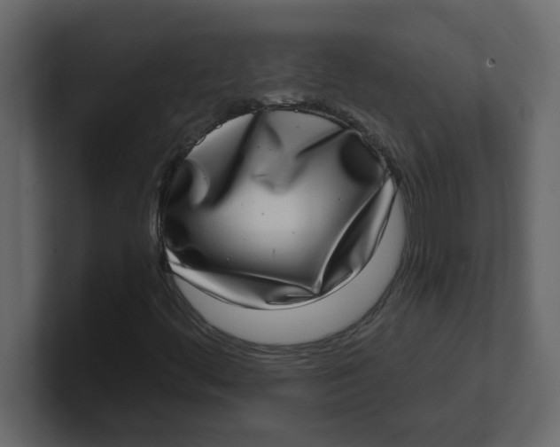X0000100911444200807151129