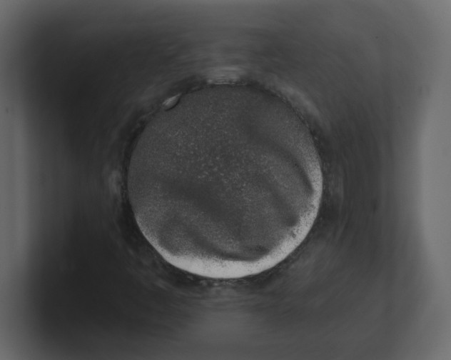 X0000100911445200807151129