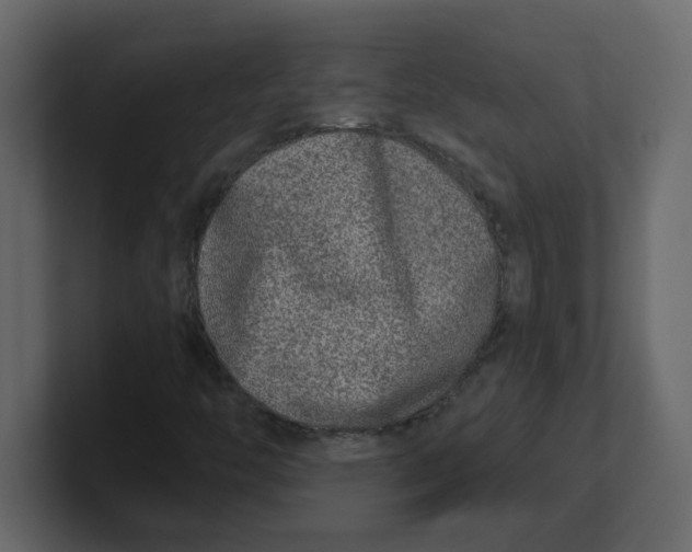 X0000100911446200807151129