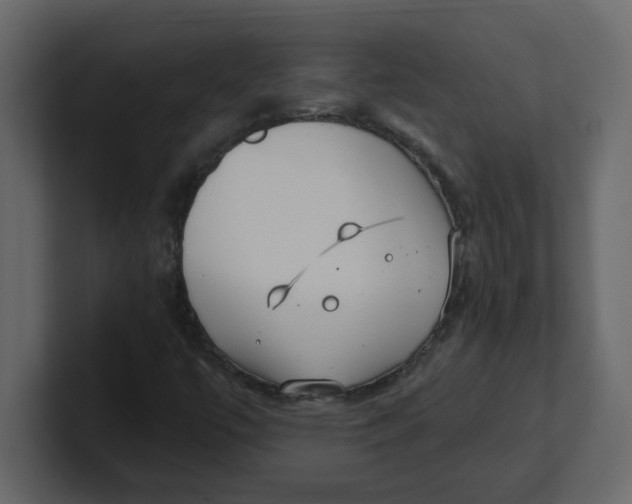 X0000100911447200807151129