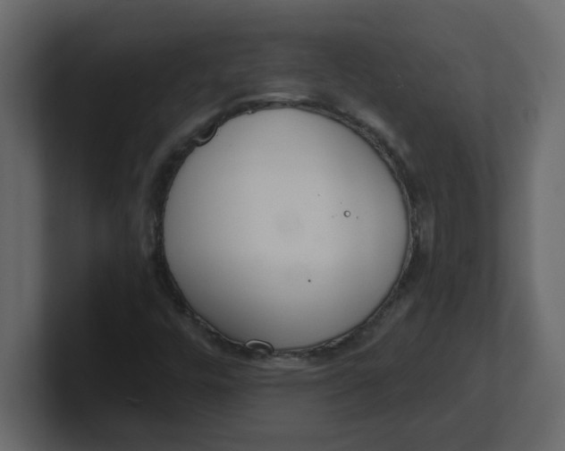 X0000100911448200807151128