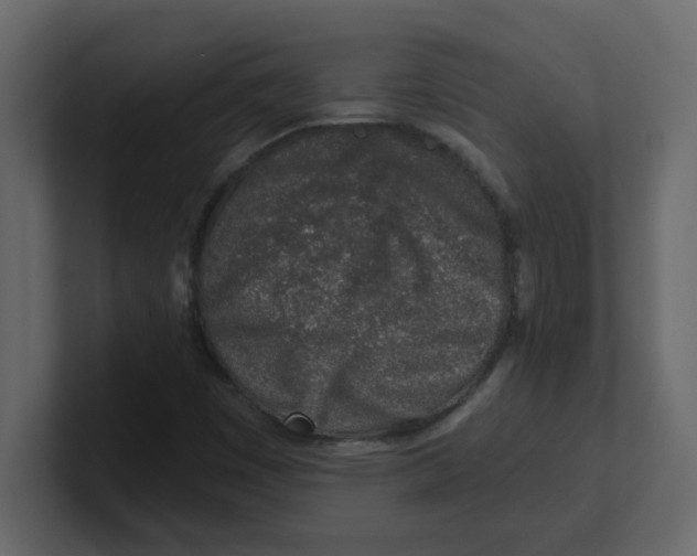 X0000100911449200807151128