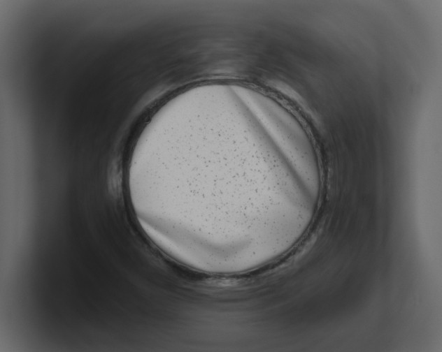 X0000100911450200807151128