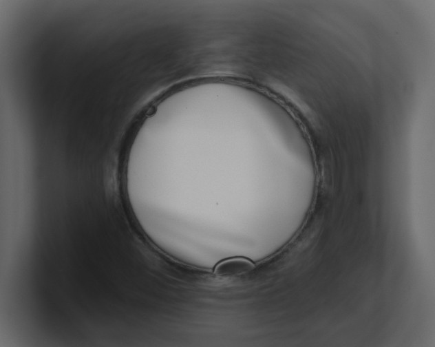 X0000100911452200807151128