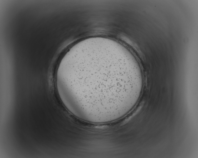 X0000100911453200807151128
