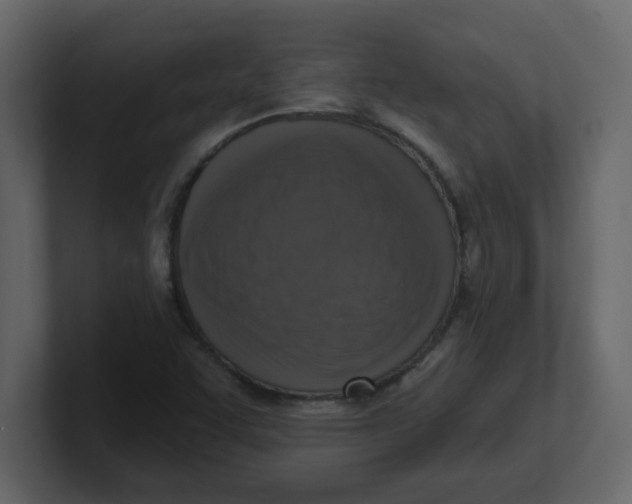 X0000100911455200807151128
