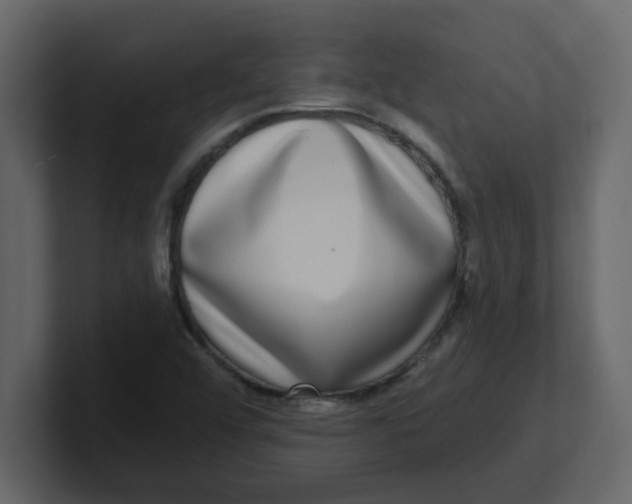 X0000100911456200807151128