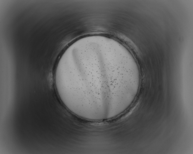X0000100911457200807151128