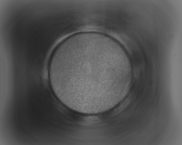 X0000100911462200807151128