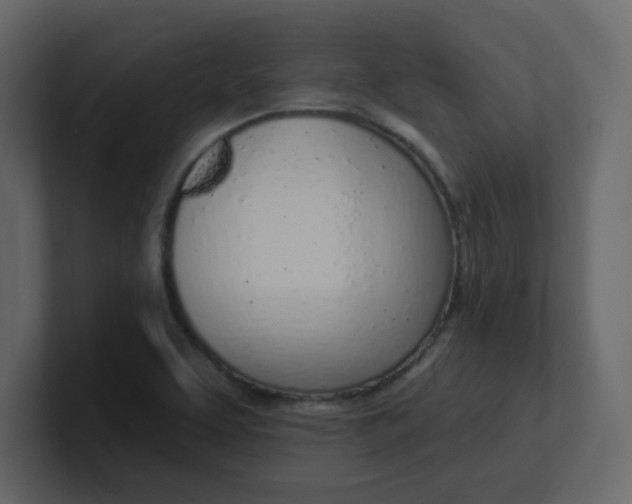 X0000100911463200807151128