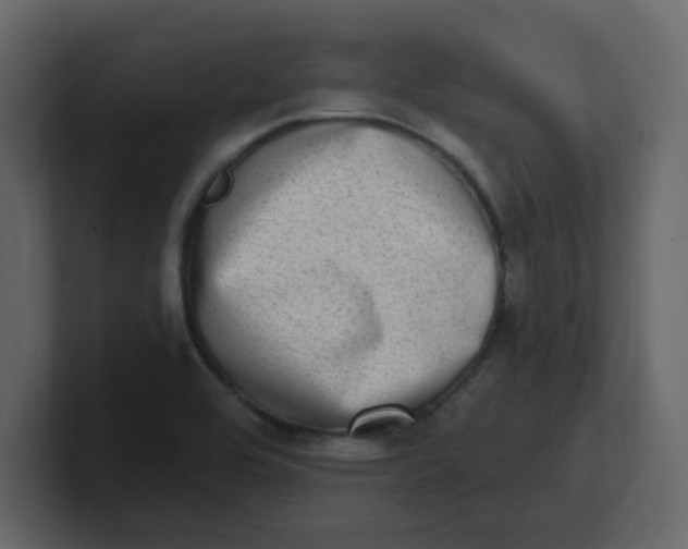 X0000100911464200807151128