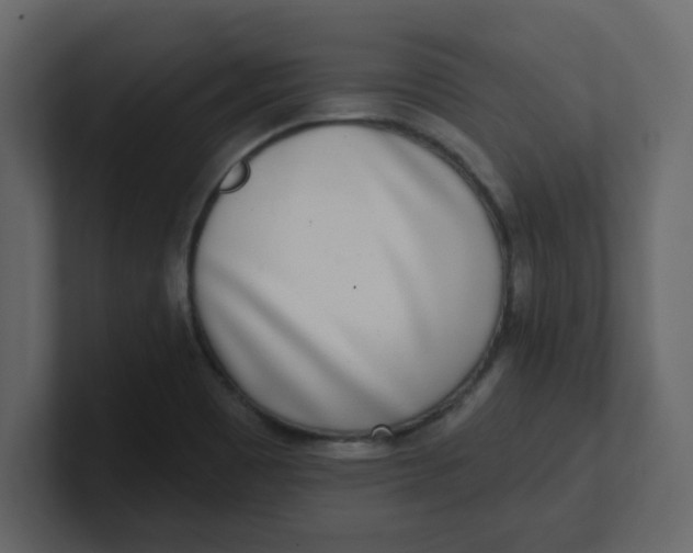 X0000100911465200807151128