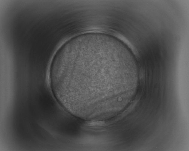X0000100911466200807151128