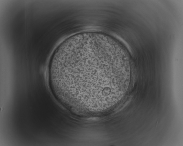 X0000100911467200807151128