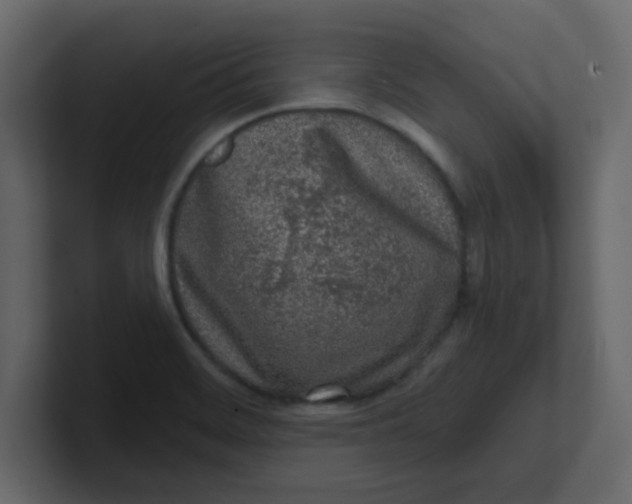 X0000100911468200807151128