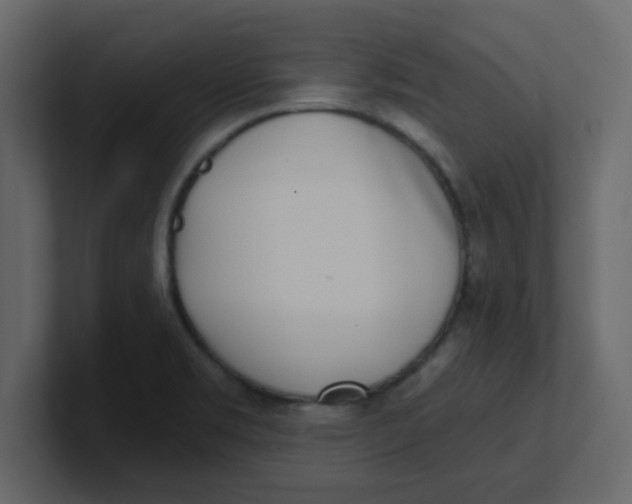 X0000100911469200807151128