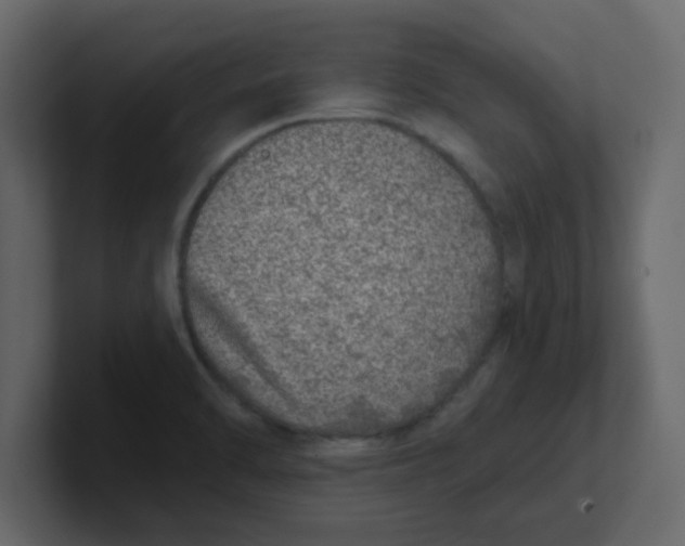 X0000100911470200807151128