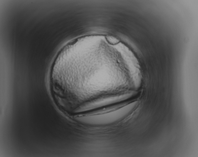 X0000100911471200807151128