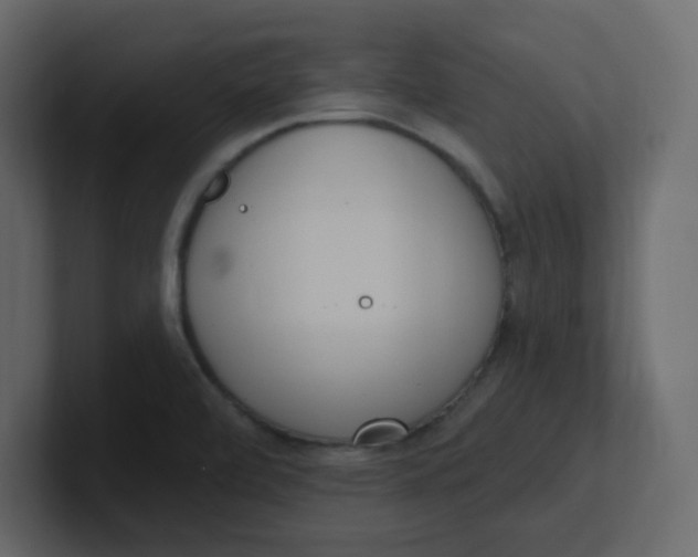 X0000100911472200807151128