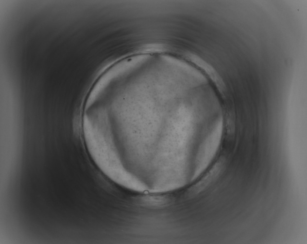 X0000100911473200807151128