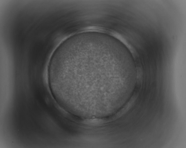 X0000100911474200807151128