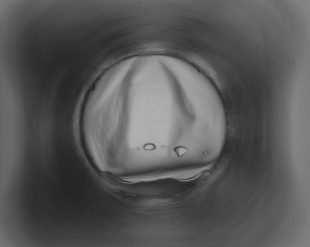 X0000100911475200807151128
