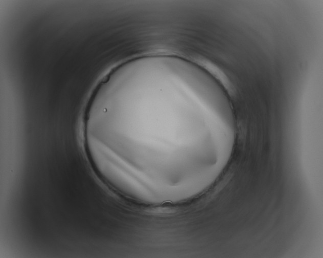 X0000100911476200807151128