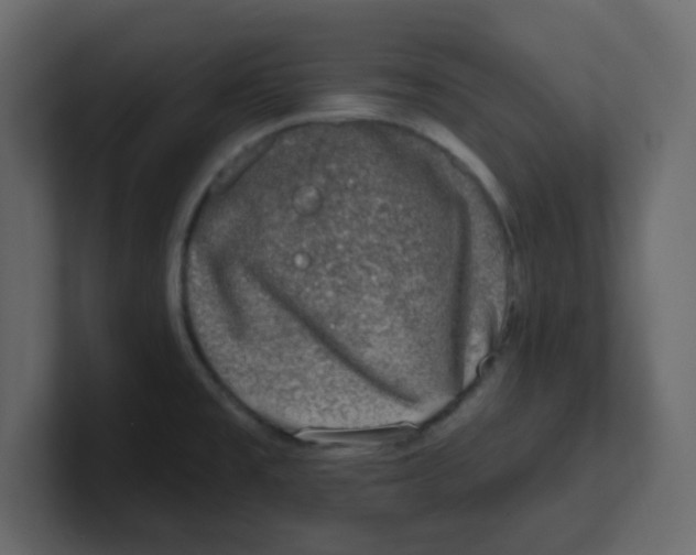 X0000100911477200807151128