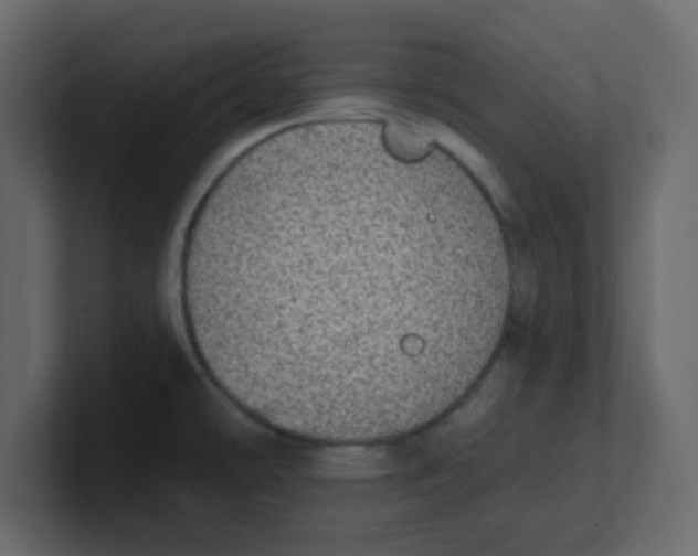 X0000100911478200807151128