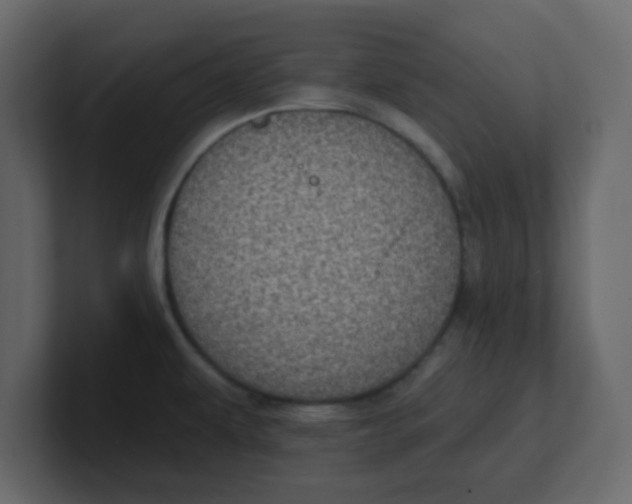 X0000100911479200807151128