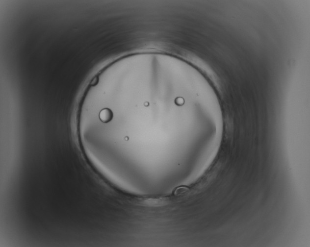 X0000100911480200807151128