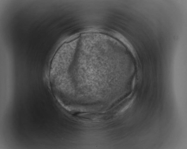 X0000100911481200807151128