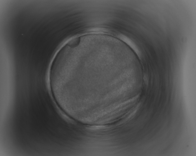 X0000100911482200807151128