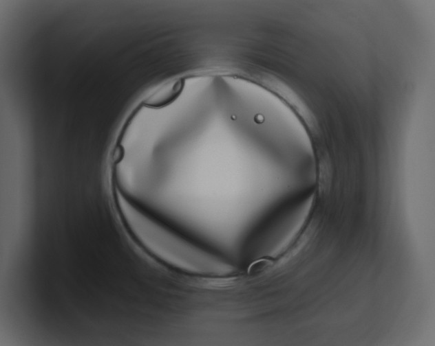 X0000100911484200807151128