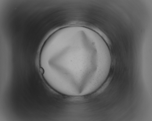 X0000100911486200807151128