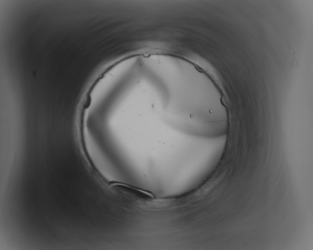 X0000100911488200807151128