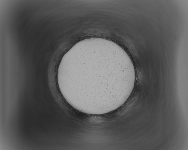 X0000100911489200807151127