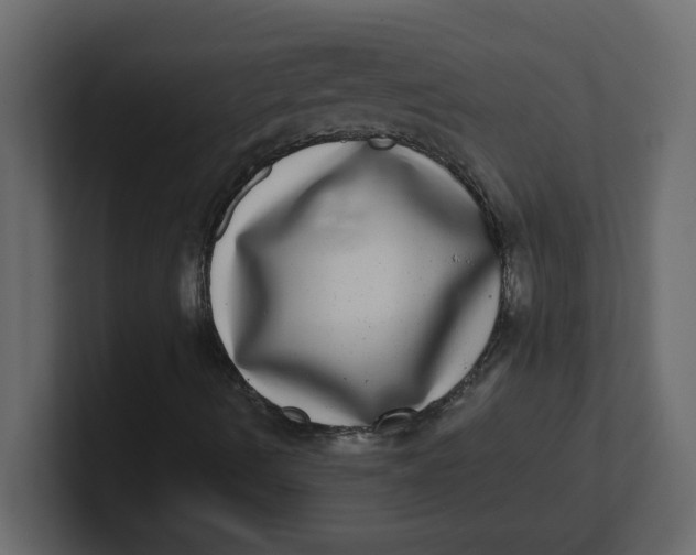 X0000100911490200807151127