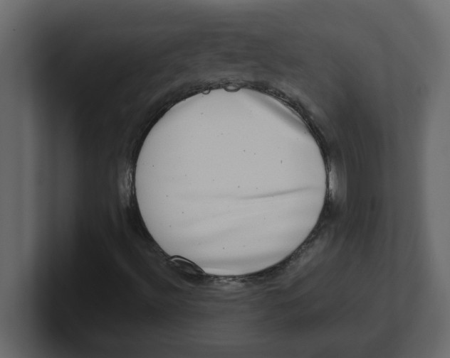 X0000100911492200807151127